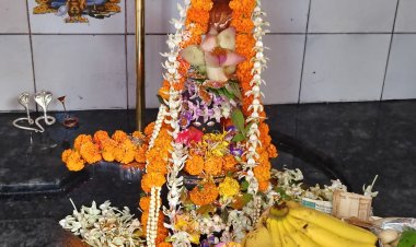 शिवानंद नगर में शिवलिंग प्राण प्रतिष्ठा पूजा का किया गया आयोजन