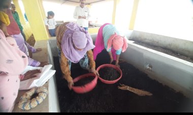 गोठान से गांव की महिलाओं को स्थानीय स्तर पर मिला रोजगार