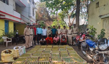 आबकारी विभाग द्वारा की गई कार्यवाई, 597 आरोपी गिरफ्तार