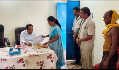 कलेक्टर ने बंगोली के पटवारी और ग्राम पंचायत कार्यालय का किया निरीक्षण   अभियान चलाकर स्कूली बच्चों की जाति प्रमाण पत्र बनाने के दिए निर्देश