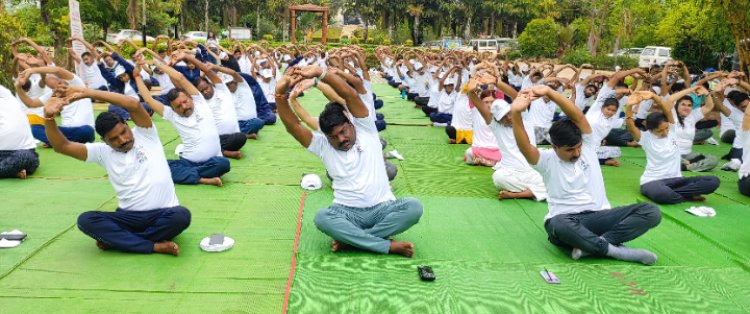 पर्यावरण के बीच आंतरिक शांति के लिये हुए इकट्ठा, योग के महत्व को समझा