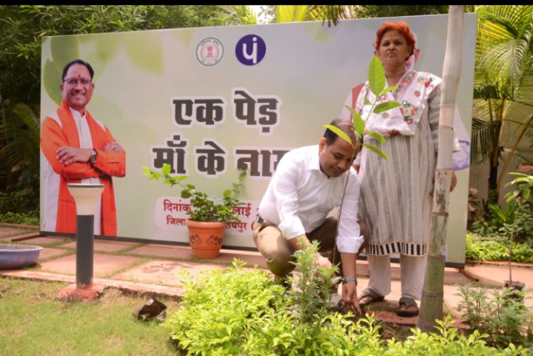 कलेक्टर डाॅ. गौरव सिंह ने एक पेड़ मां के नाम अभियान के तहत किया वृक्षारोपण