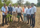 विधायक श्री सुशांत शुक्ला ने किया पौधरोपण, पर्यावरण संरक्षण का दिया संदेश