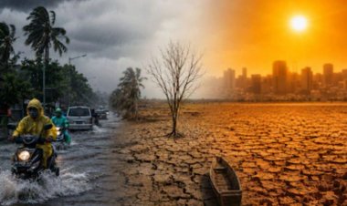बारिश का कहर देखने को मिला. इस बीच विश्व मौसम विज्ञान संगठन (WMO) ने एक बड़ी चेतावनी जारी की है.