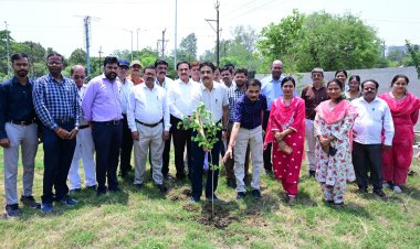 विश्व पर्यावरण दिवस पर संभागायुक्त कार्यालय परिसर में पौधरोपण