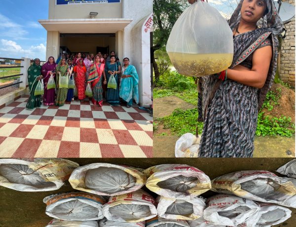 मछली पालन से सेमरताल की 100 ग्रामीण महिलाओं एवं परिवारों को मिला आत्मनिर्भरता का नया अवसर