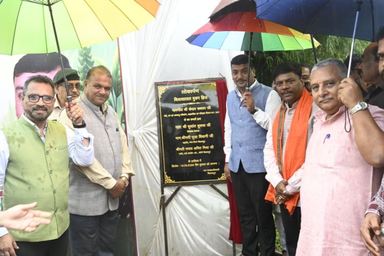 वन मंत्री श्री केदार कश्यप ने किया बिलासा ताल में वुडन ब्रिज का लोकार्पण